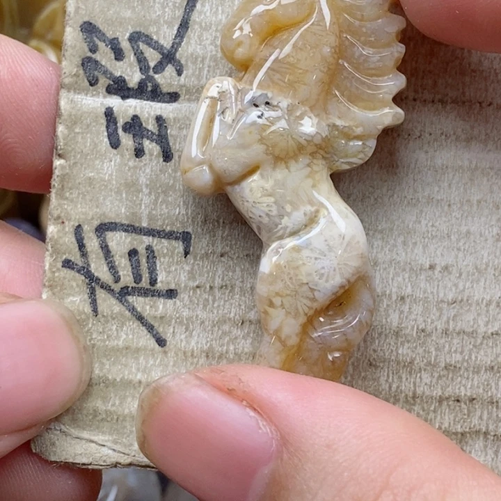 颈饰未镶嵌硅化珊瑚(珊瑚玉)k***y