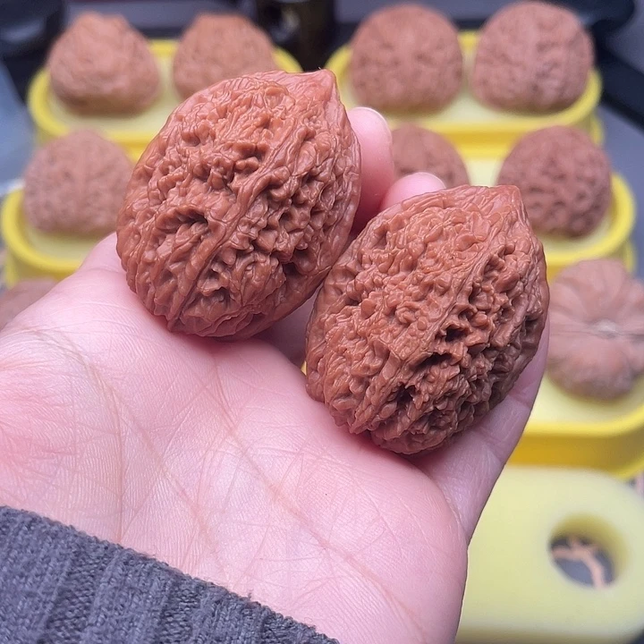 蒜头3638全品打底