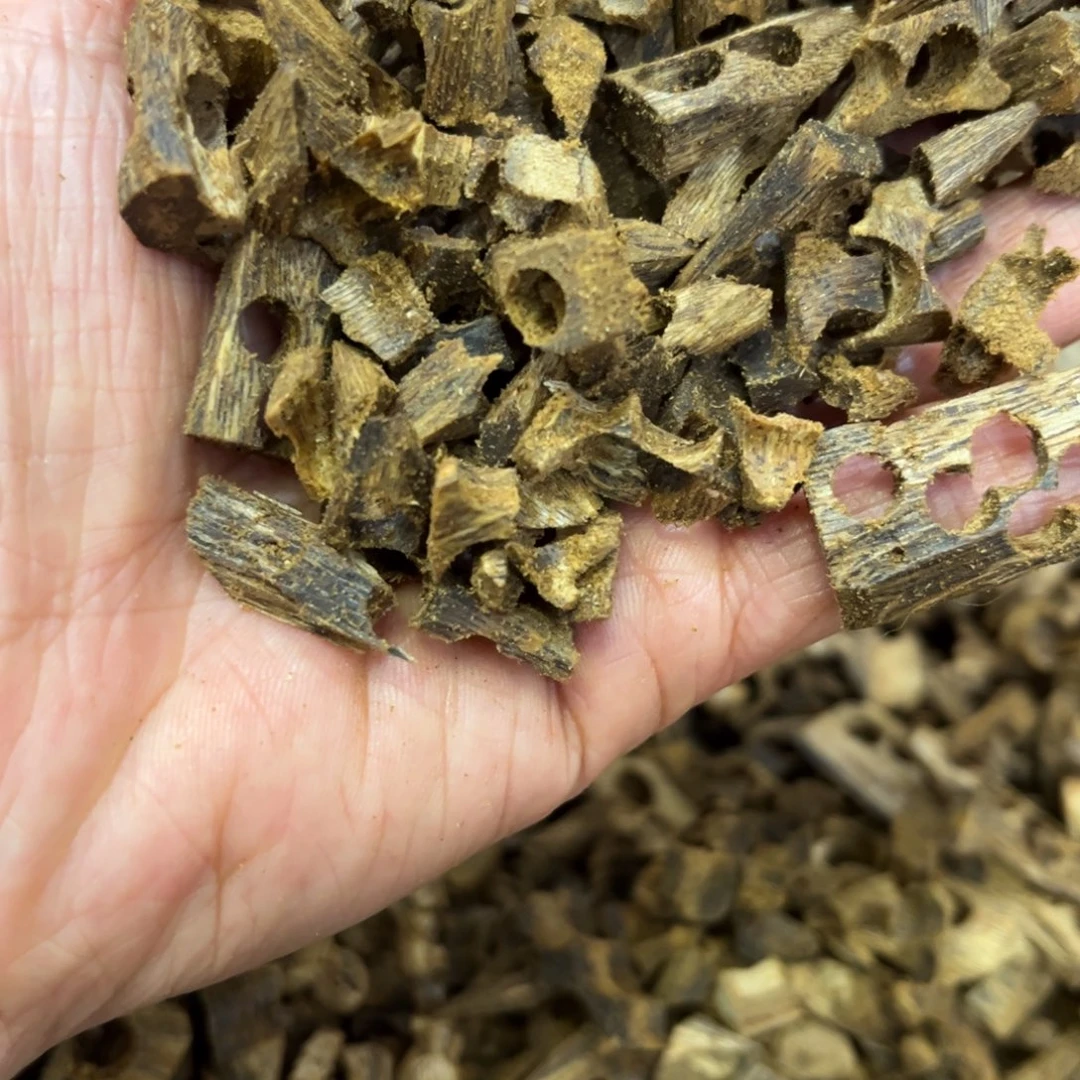 €***`摆件沉香沉香棋楠碎500