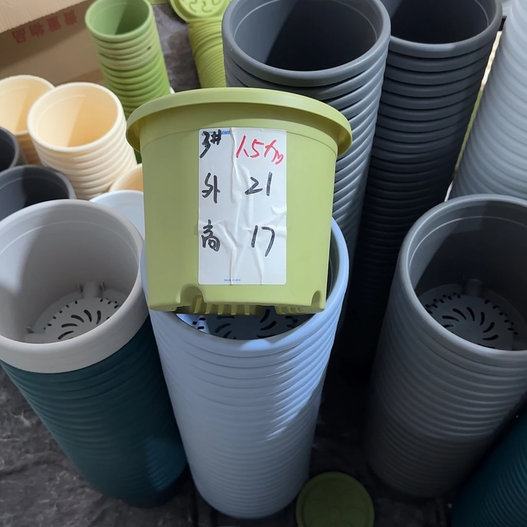 微瑕3号10个无托，果绿