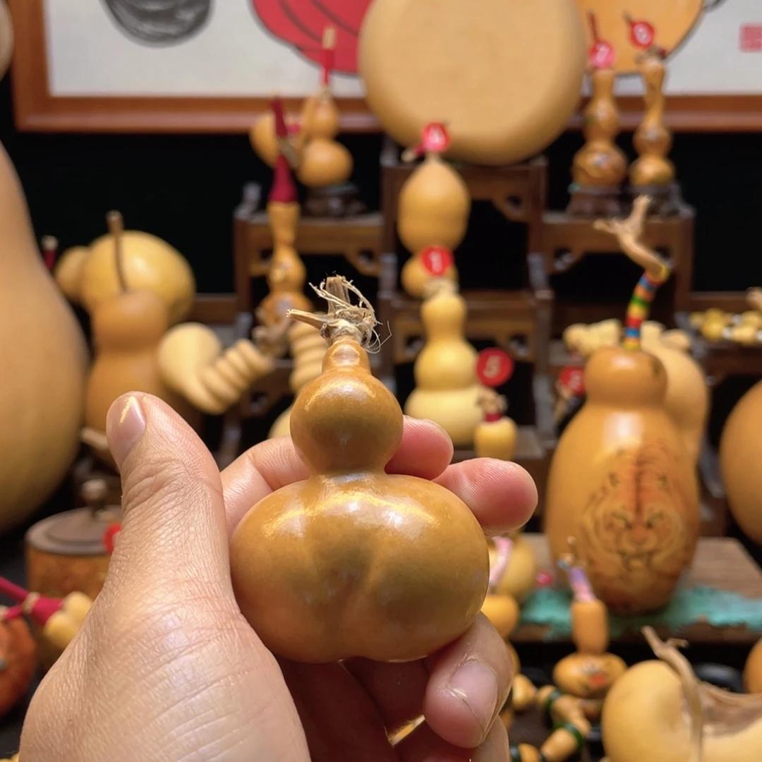 ?****è大自然的秘密第十节第一