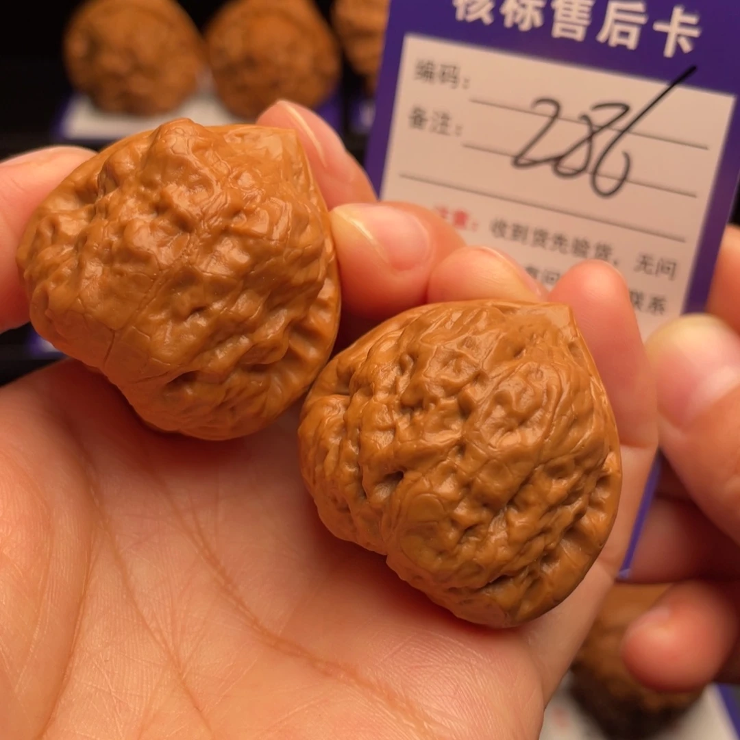 文玩核桃把件古蝉35尺