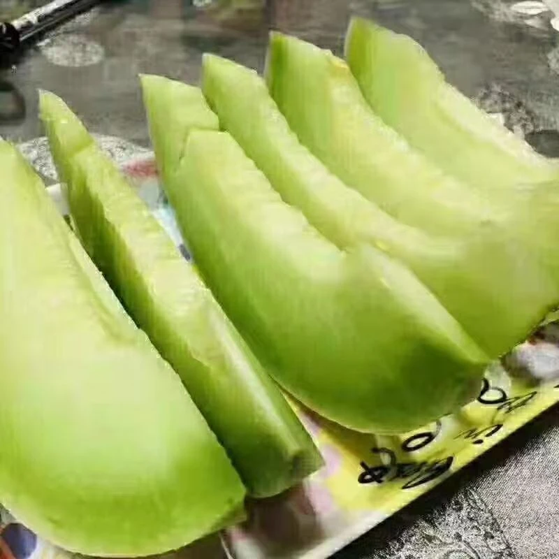 正宗民勤银蒂蜜瓜白兰瓜现摘现发脆甜汁多产地直发2个装净重8-9斤