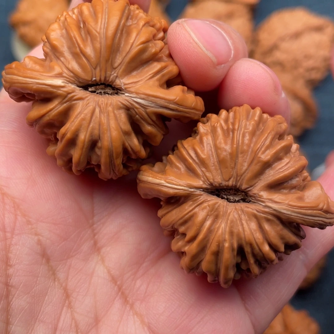 文玩核桃把件42毕业山地楼全品