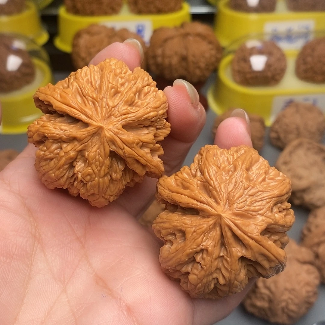 普***西木质类平谷大粗筋