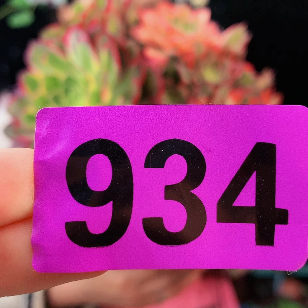 sssssssssssssssssssssssss934