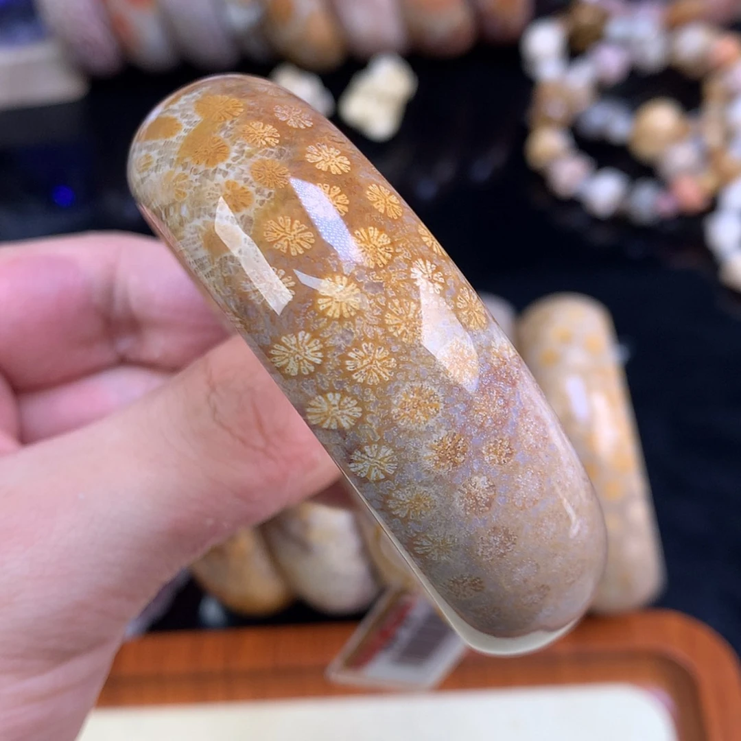 【闪购商品】颈饰未镶嵌硅化珊瑚（珊瑚玉）65号金皮雏菊56.3圈
