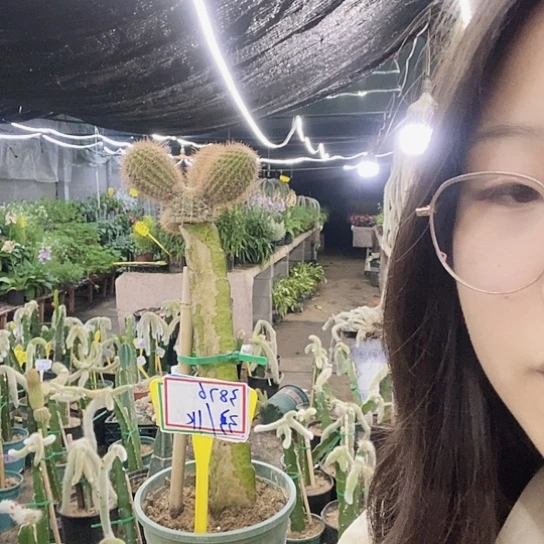 3876脱土发货无售后