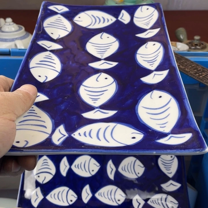 碟开播了开播了开播了