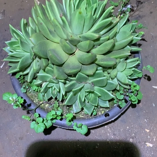 像****?每日特价活动开始啦