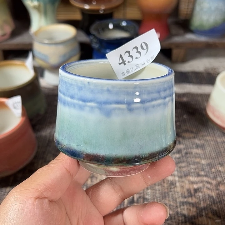 口6 手工花盆福利多多