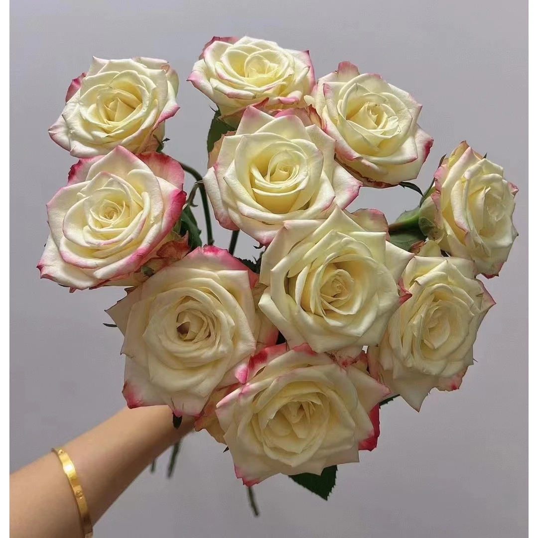 22方德艾莉森10支+粉腊梅一小把+粉色紫罗兰一把+粉乒乓菊一小把