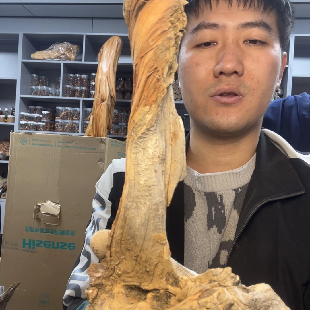 木太行崖柏毛料摆件