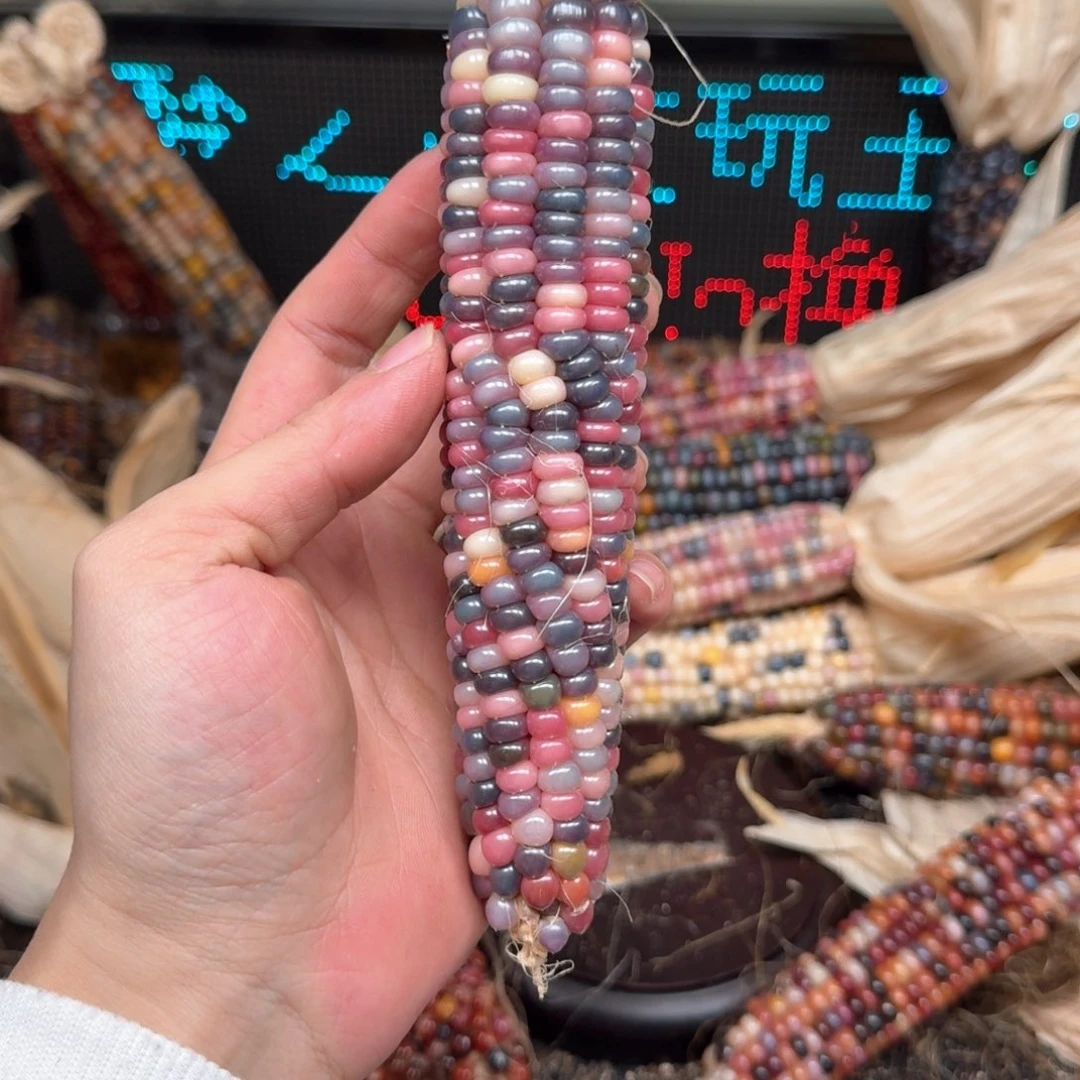 柏香籽/百香籽吊坠夏**天