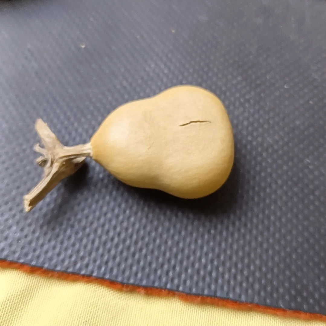 你****鱼天裂八宝夹板葫芦