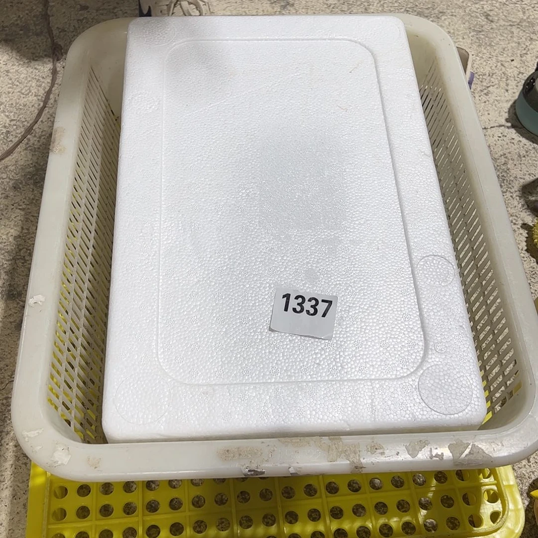 正品开窑福利，满百包邮（随机一只）