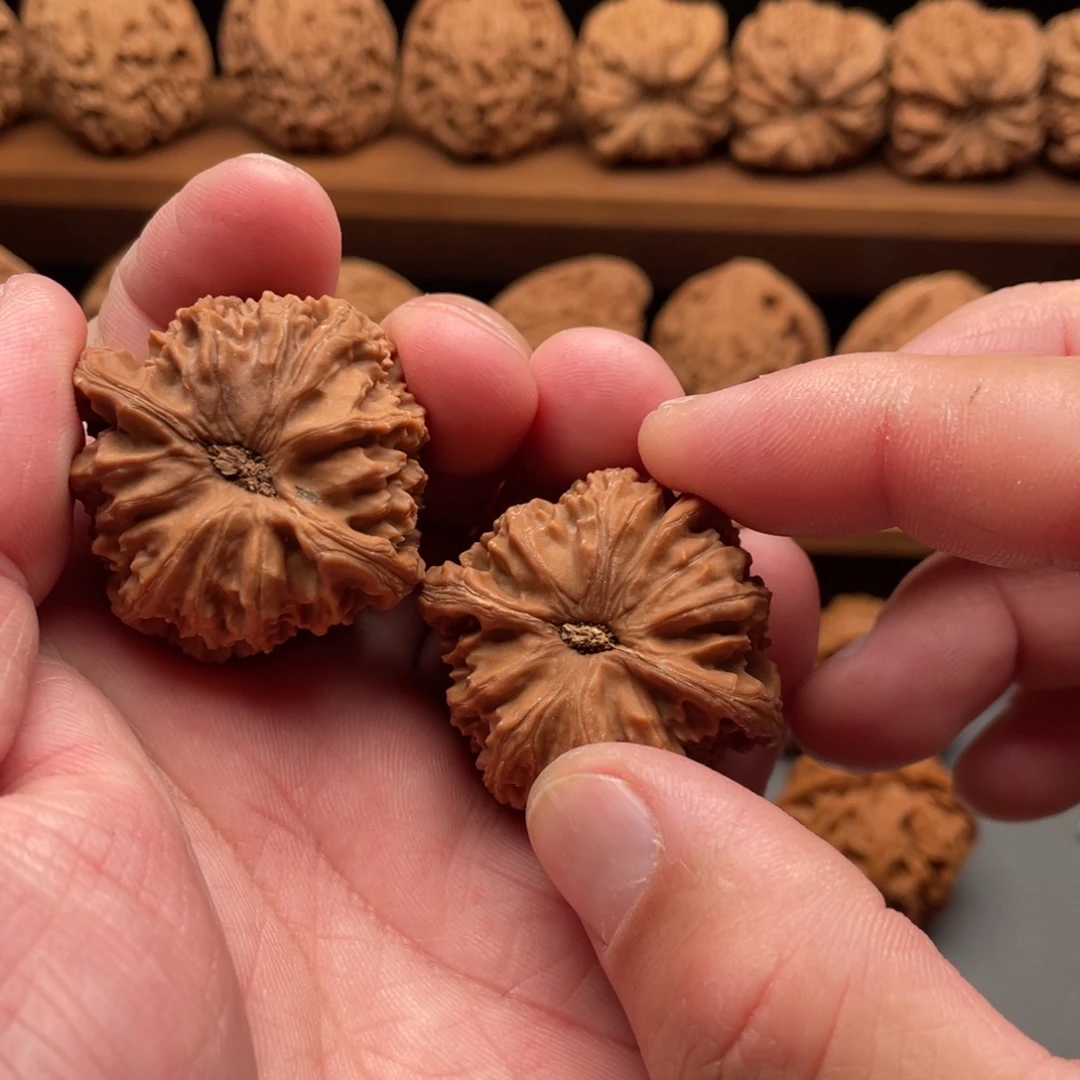 春***雨吊坠文玩核桃白狮子