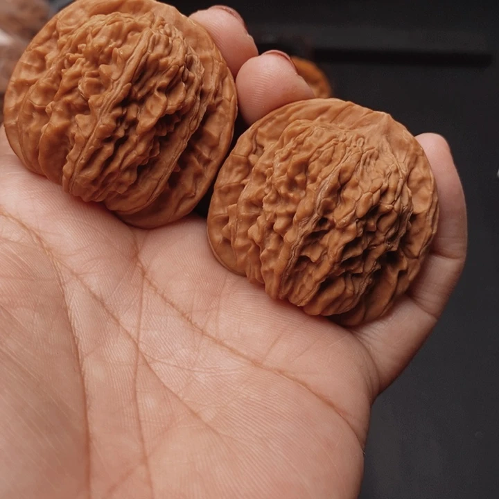 核桃汉高楼41尺核桃