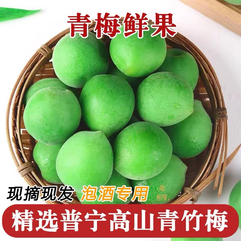 普宁青梅鲜果揭阳青梅大果现摘应季泡酒青梅水果酵素脆梅子现货