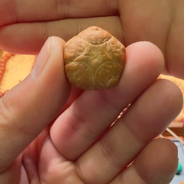 V***孟麒麟眼菩提把件五星面试一物一图