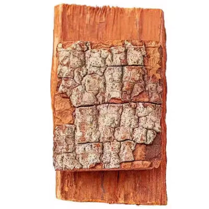 高山高海拔 五位泡 原料 顶天柱 啊肾专属