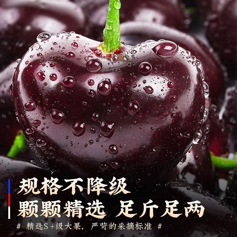 【ROSE】J-6JD智利车厘子2/4.4斤原箱新鲜水果海运内附果径卡
