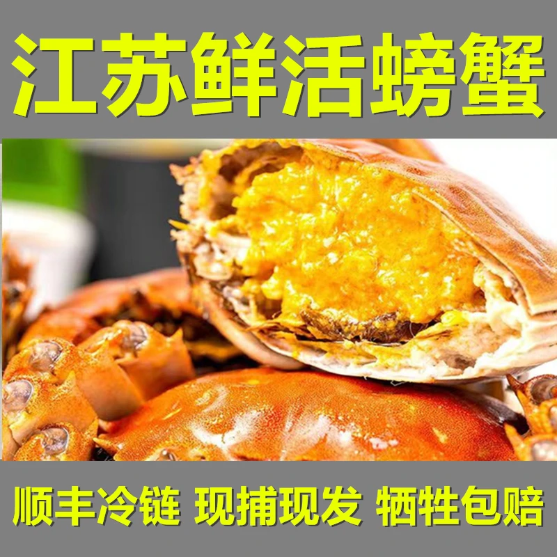 【活蟹】品知鲜鲜活螃蟹河蟹（全公蟹1.7-2.0两 ）6只