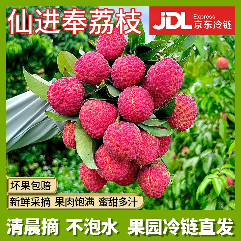 【京东空运/冷链】广东仙进奉荔枝 头茬鲜果现摘新鲜不泡水3/5/10斤