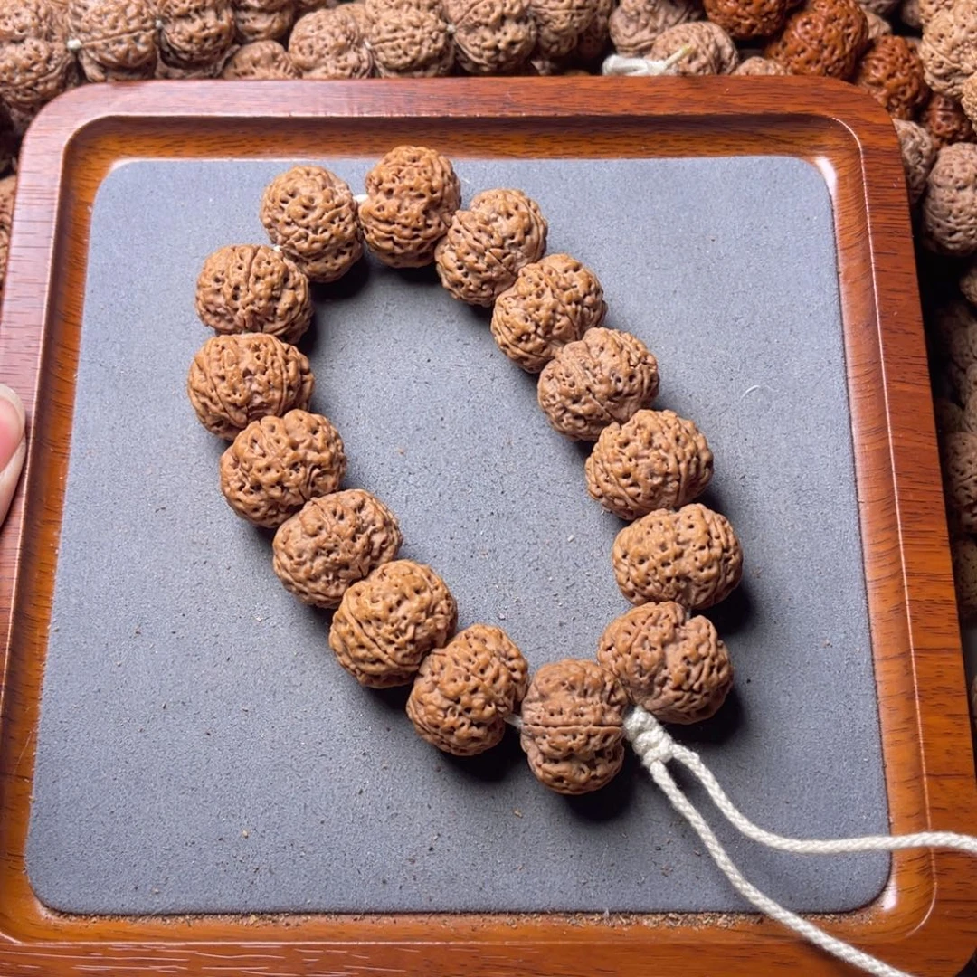 菩提籽类34号金刚菩提飞碟梅花23+