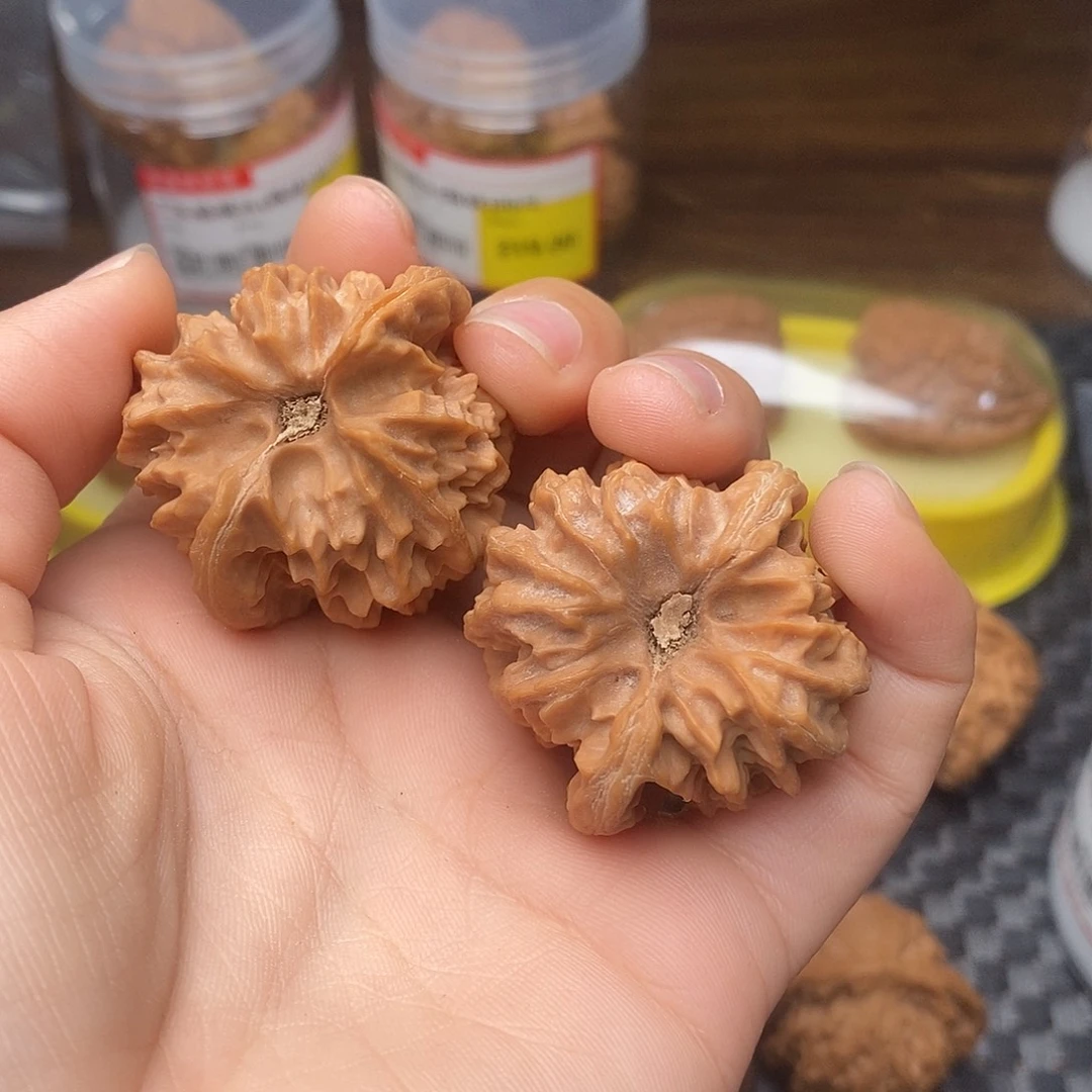 *****把件文玩核桃全品曹大龙39尺