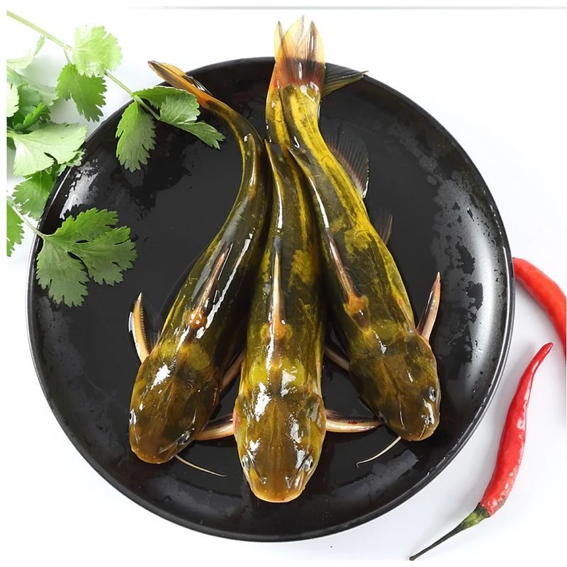 【惠】黄骨鱼（黄辣丁）默认宰杀，杀前约150-200g