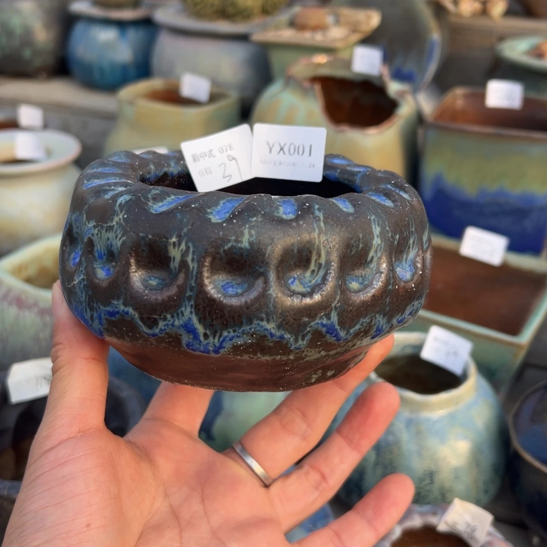 8***7yx001盆盆盆盆盆盆