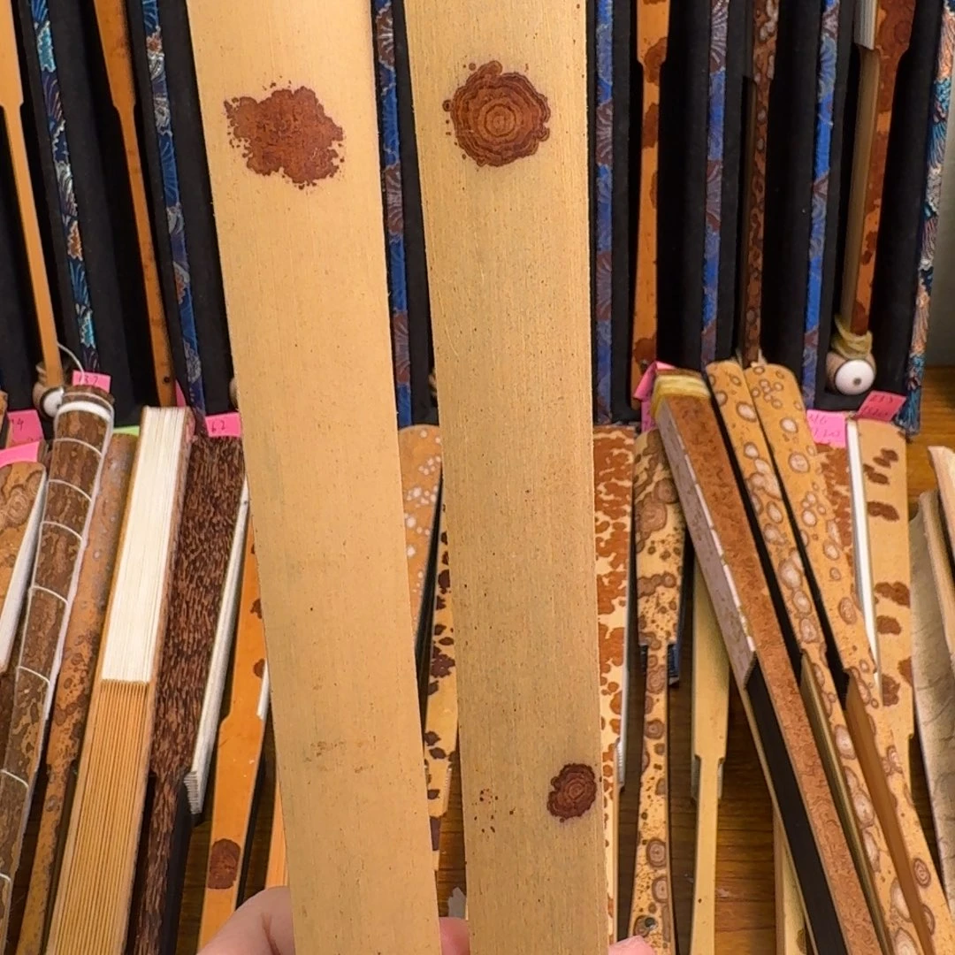 扇子八寸 2.5 老云鸿运