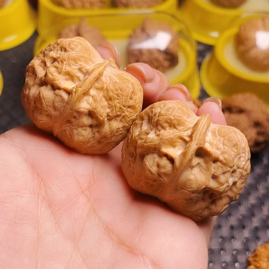 文玩核桃金蟾疙瘩包