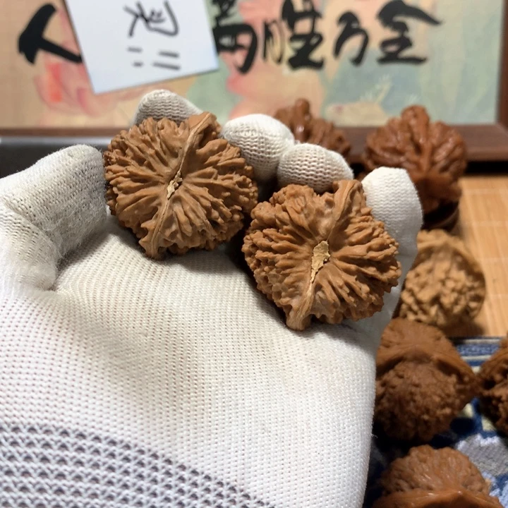 海***白哈哈哈哈哈哈哈哈哈哈