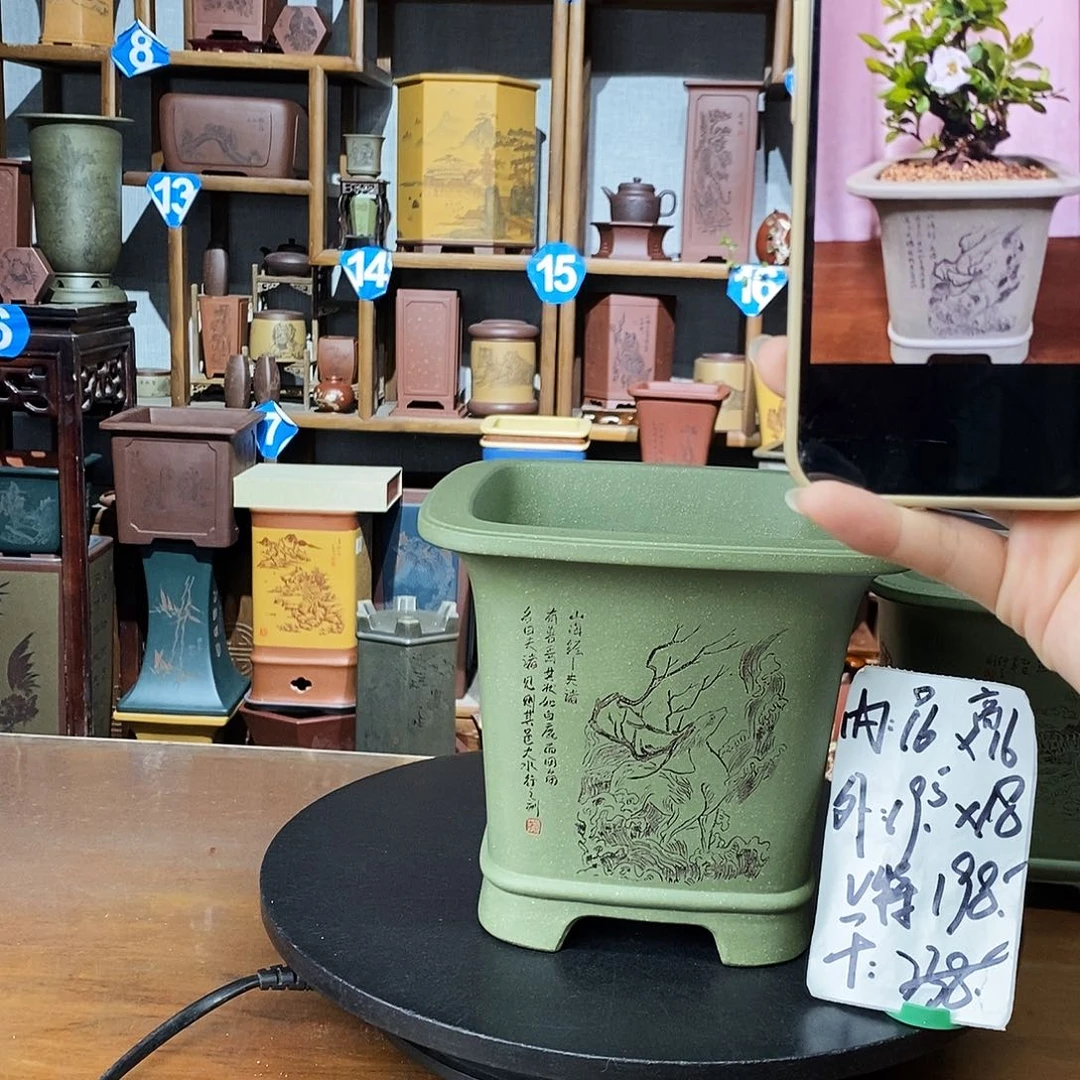 花盆紫砂果绿泥爆款特价