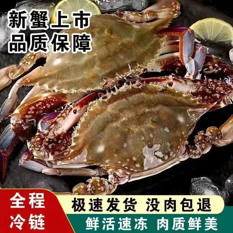 DD【冻蟹】连云港黄海湾野生三角蟹 小娘蟹 到手12-15只 2-3两/只 净重4斤