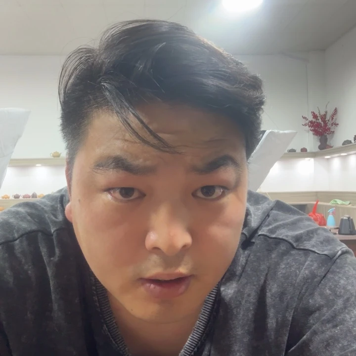 茶壶紫砂45555552255555