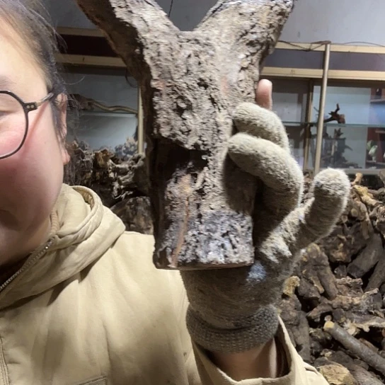 香榧木一**顺火琉璃的毛料是摆件