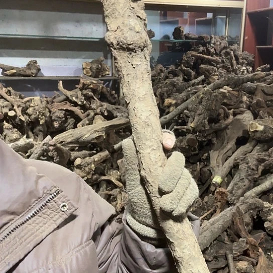 香榧木鹰**空火琉璃的毛料摆件