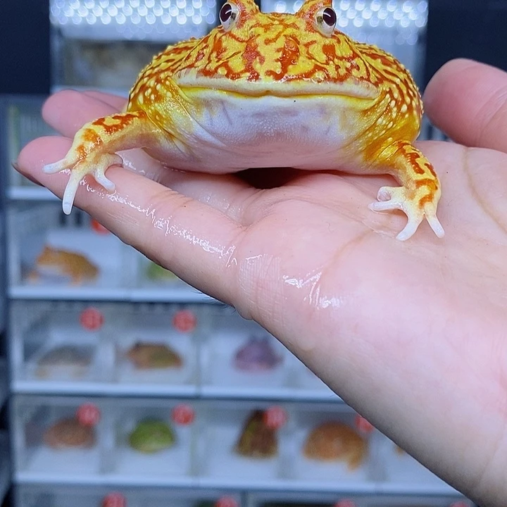 特价秒杀现货特价