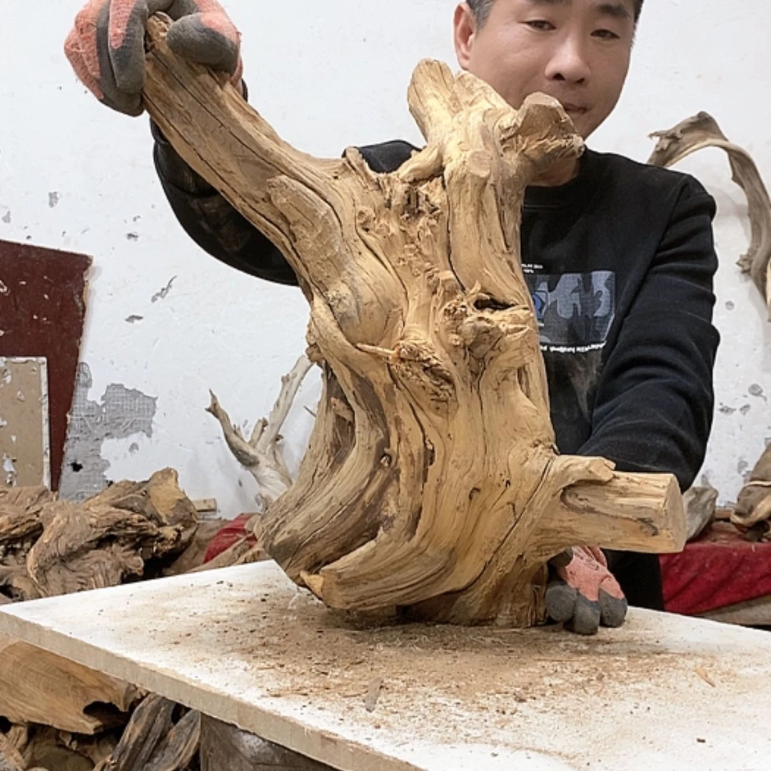 【闪购商品】柏木7*7我们都是好孩子