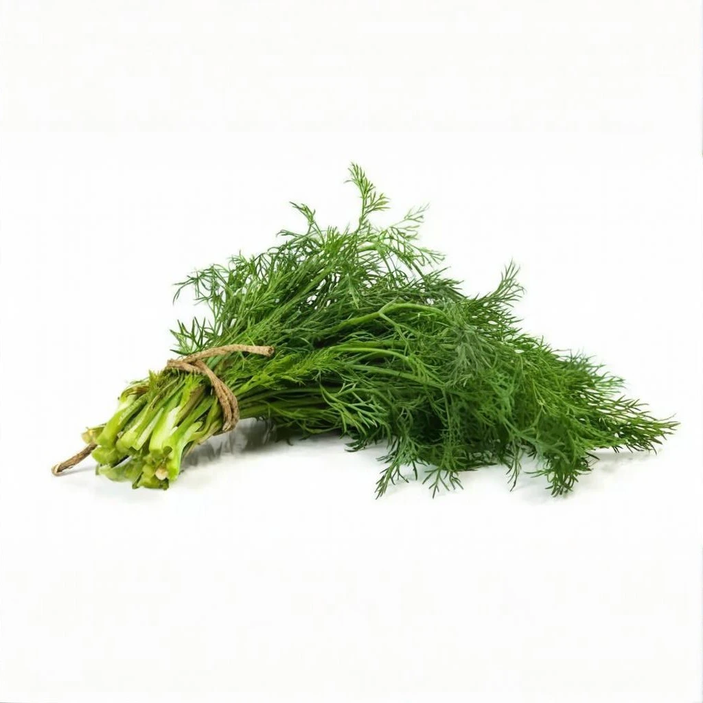 生态绿色茴香（500-1000g）