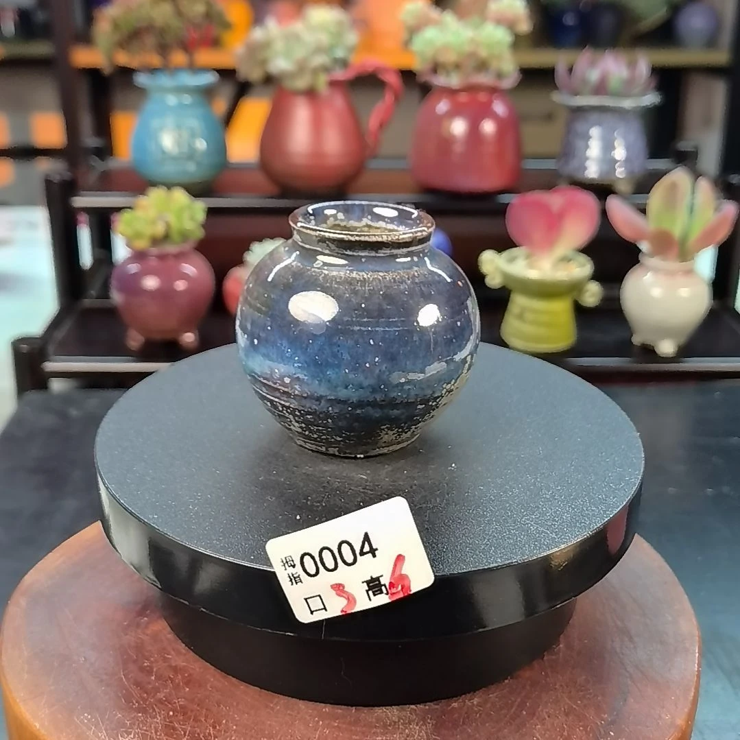 拇指多肉花盆编号0004