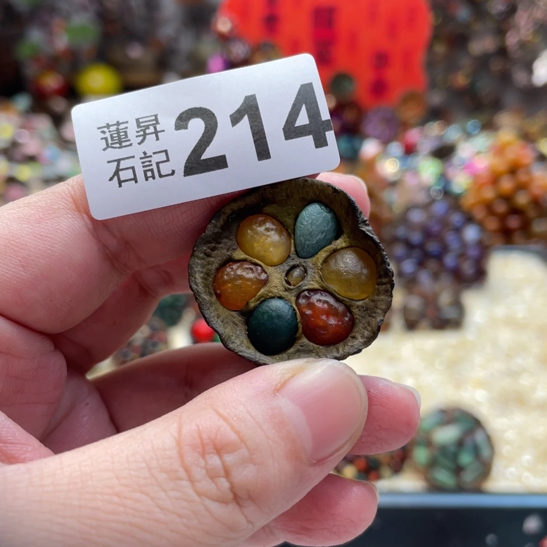 核桃木/黑胡桃（胡桃木）伍**214