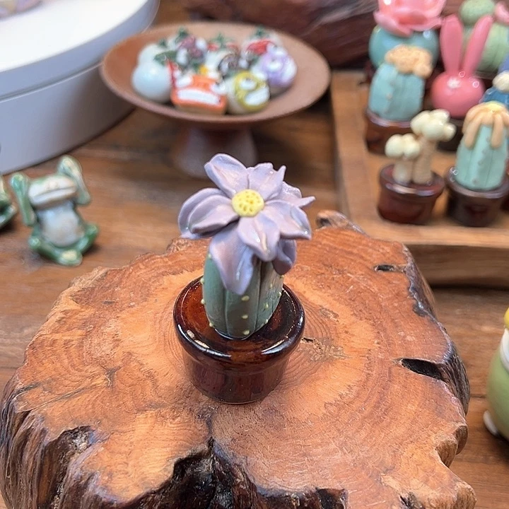 其他新店开业福利多多