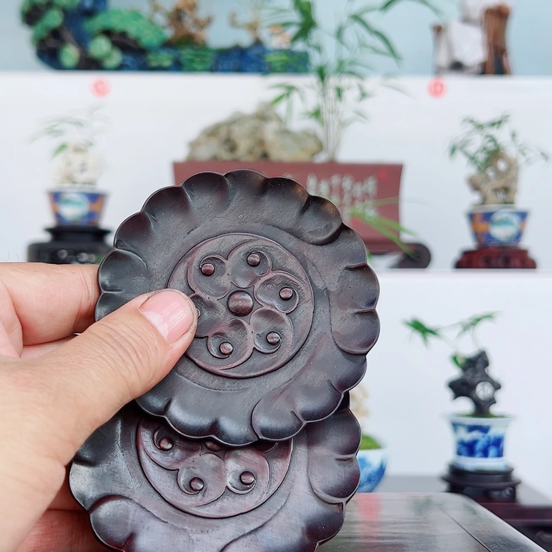 无花朵盆景，凤尾竹，玲珑石