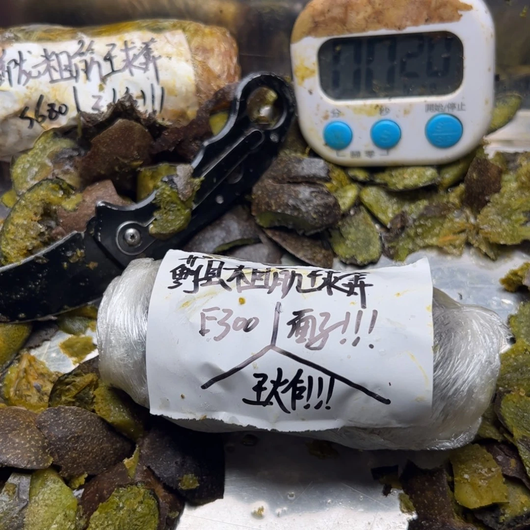 王***）符合经济困难你空间看看家