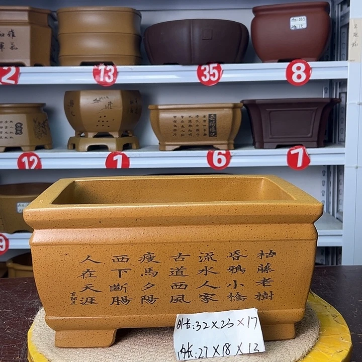 花盆紫砂你在一起