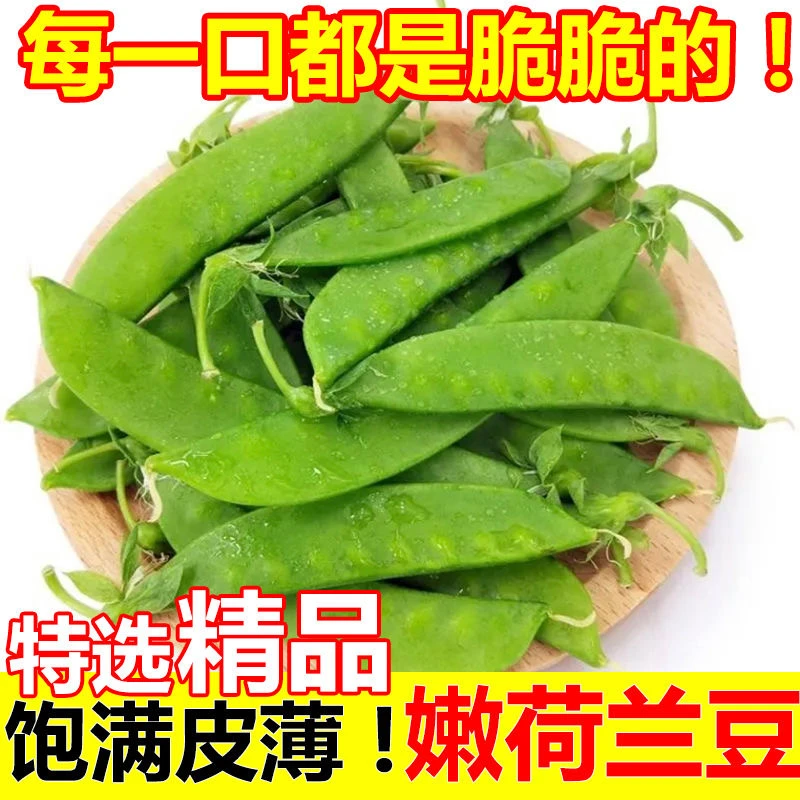 云南高原现摘荷兰豆露天新鲜蔬菜嫩甜可口3斤5斤包邮到家